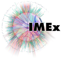 IMex logo