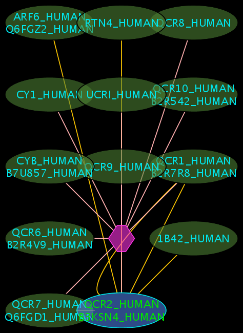 QCR2 HUMAN initial.png